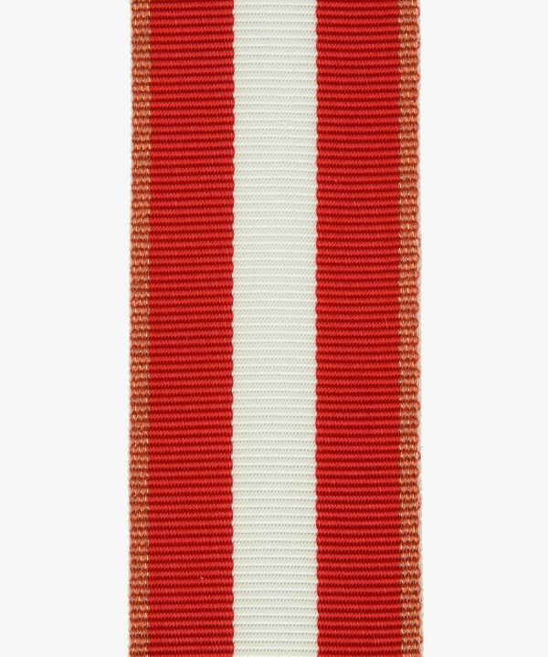 Feuerwehr-Ehrenzeichen Gold (228)